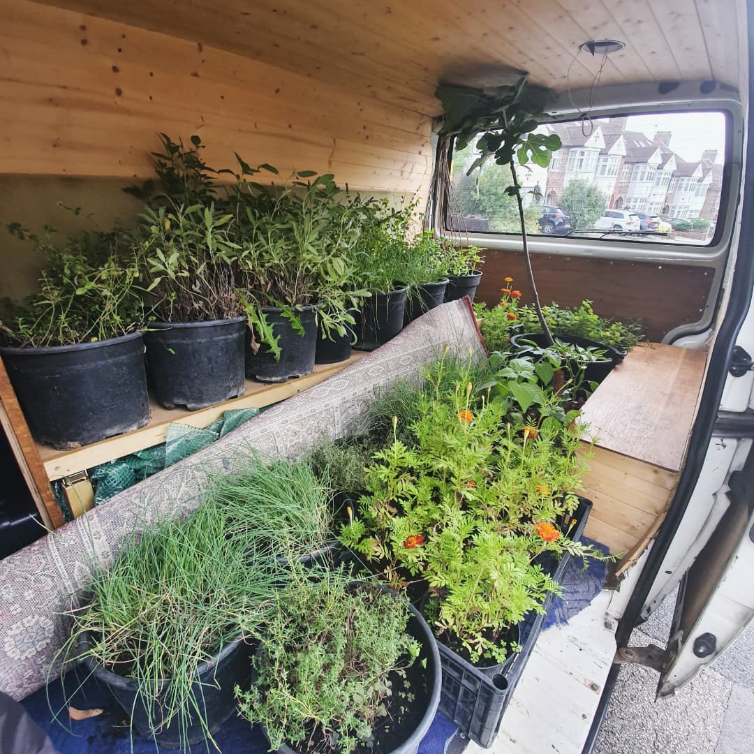 Did you know?🤔A couple of weeks back, we transported some our beautiful plants to Dish at Harwell. If you're also interested in getting some EL plant love at your business, office, or outdoor space, please DM us or visit ediblelondon.org