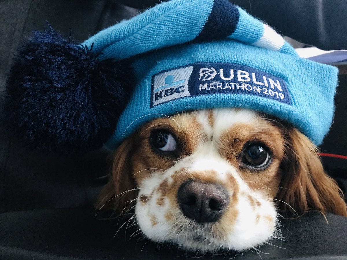 Getting ready DCM Virtual in 10 days! ⁦<a href="/dublinmarathon/">Irish Life Dublin Marathon</a>⁩ #dublincitymarathon