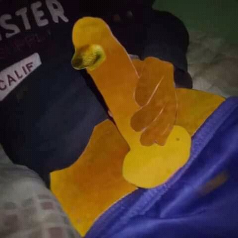 CoNeJo tweet media