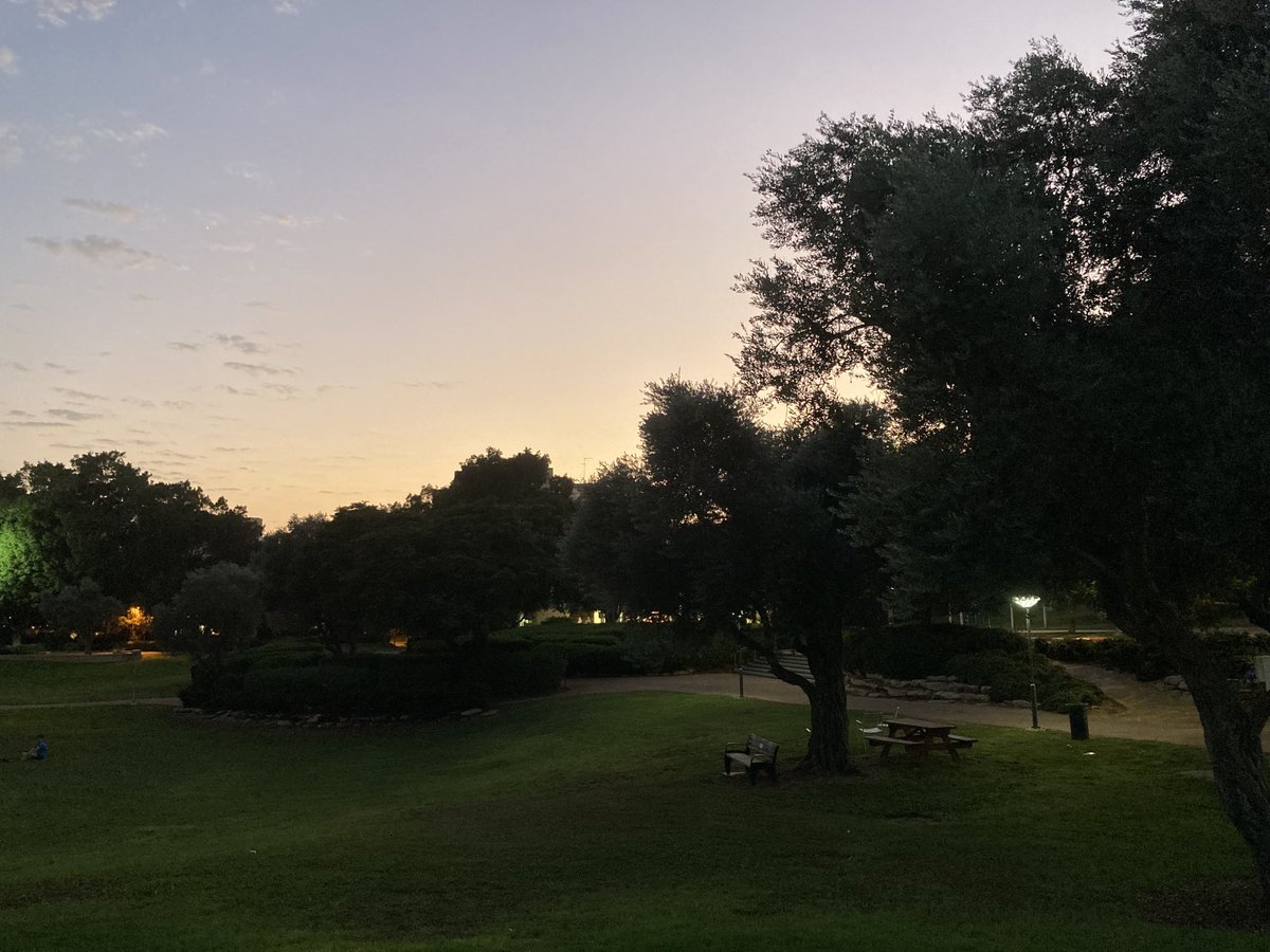 Beautiful dusk ⁦<a href="/WeizmannScience/">Weizmann Institute</a>⁩