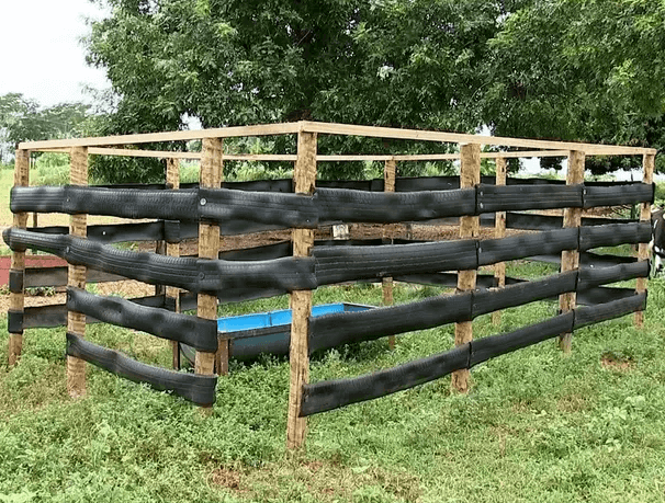 agribusinesszw's tweet photo. Tyres repurposed into cattle fencing

#Innovation #agribusinesstalk https://t.co/7VUX4h4Yte