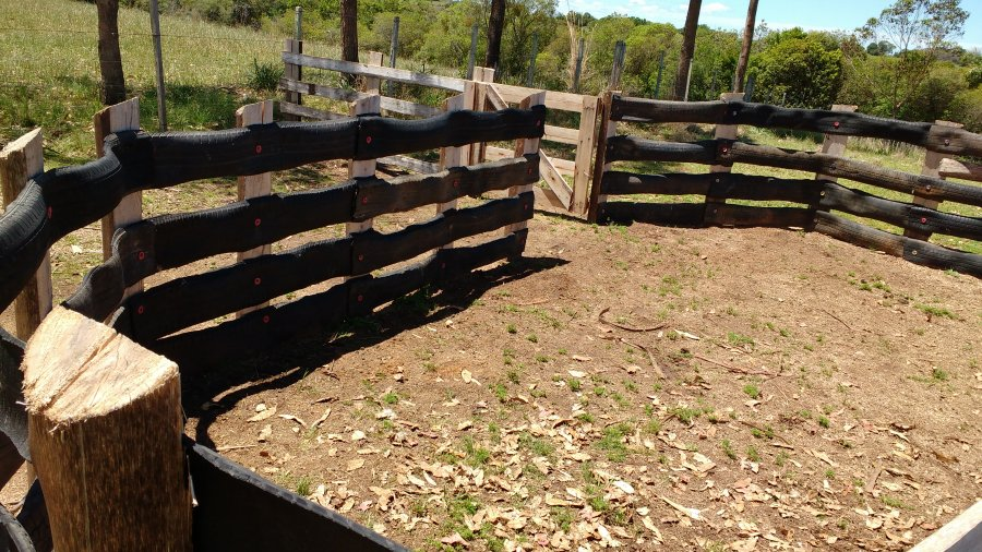 agribusinesszw's tweet photo. Tyres repurposed into cattle fencing

#Innovation #agribusinesstalk https://t.co/7VUX4h4Yte