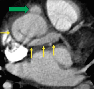 diagnostico911.org tweet media
