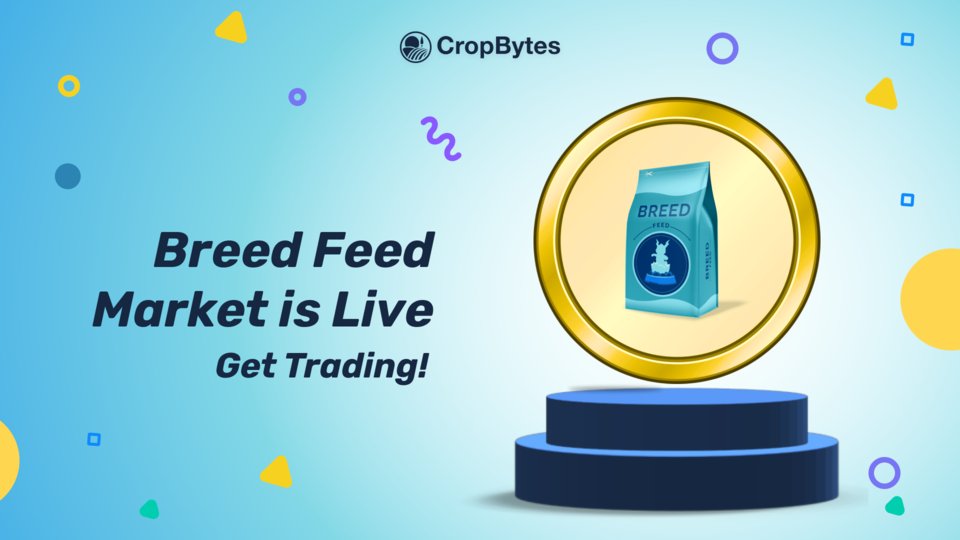 CropBytes's tweet photo. Hey Farmers ๐
SBF / TRX market is live. ๐
Head to the CropBytes Exchange and start trading. ๐
Trade Now: https://t.co/2TrE8QMdce
#CryptoTrading #CryptoAssets #FarmSimulation https://t.co/Ra8u6sjN0m