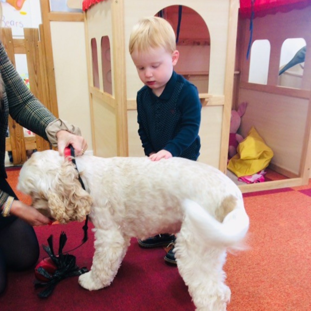 We loved having Fudge at Bricknell today. The children loved meeting him and giving him a friendly stroke 😃
Thanks for coming to meet us Fudge, he even showed us a few of his tricks and got some treats as a lil surprise present. Too cute! 🐶