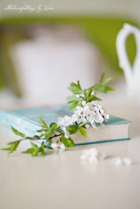 #FPPG

<a href="/ul_1r/">راجنر</a>
<a href="/lYorX/">Lyorx Lyorx</a> 
@2e1_1
<a href="/Mi1r2/">it</a>
<a href="/Z_Q_1/">♕🥇آلمـلگي ⒺⓃⒼ. 🅩🅘🅐🅓🥈♕</a>
<a href="/R0niy/">حياة💞</a>
@9s_1m
<a href="/nn22c/">💫 ﮼قمر ⿻💫</a>
<a href="/Myf__7/">🌹ʍօօռǟ ʏօʊֆǟʄ🌹</a>
<a href="/sr62__/">🕊وردة بيضاء🌬</a>
<a href="/fhf140/">✮ ᷂˼الجـہ ͜ـوهــره 🌟🇸🇾</a>
<a href="/t6666i/">تركي محمد 💛💙💛💙</a>
@Tr_1611
<a href="/_Lilia_L/">Lia</a>
<a href="/Ib007_/">Kamran Abbasi</a>
@nooa27
<a href="/rahf_10/">RAHAF 🪽</a>
@vib_786
@OSk7R1
<a href="/Sahil_61/">iSMAiL SAHiL PTI</a>
@php445
@wew138
@ho88_sh
<a href="/Rm7866/">Riaz Khan</a>
<a href="/capsu77/">سجٍآيَآ آلُرۆحٍ</a>
<a href="/Bahr992/">ألسندباد</a>
<a href="/shd0016/">Shahid</a>
<a href="/asmq550/">أبو أيمن 💯 للدعم 💯 موقف تبادل 🤚</a>
<a href="/BeerAdel2/">🇦🇹 Beer Adel🇦🇹</a>
@G9__9__9G
<a href="/A_m_o_n_A/">انثى انثى</a>
<a href="/M__Ossman/">MOssman</a>