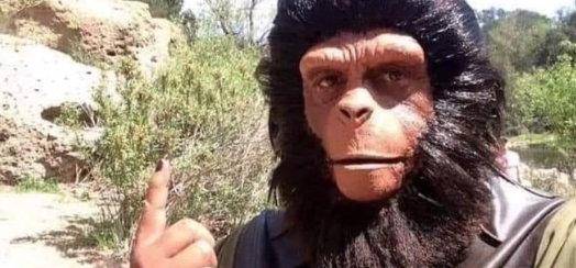 Shled's tweet image. We should all dress like this when William Shatner returns from space.