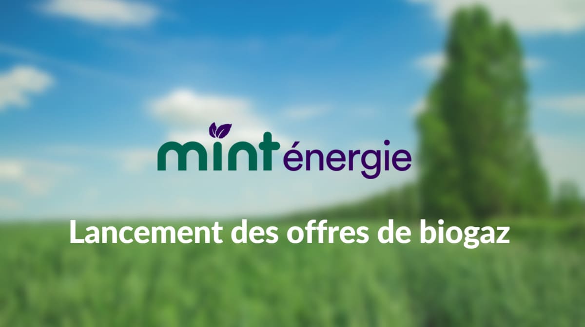 @_Sarrouille Moi j'ai trouvé la solution pour payer moins cher, j'ai changé de fournisseur, je paie 28 euros / mois chez Mint Energie, voici le lien si vous voulez changer de fournisseur, lien mint-energie.com/?cp=7531608