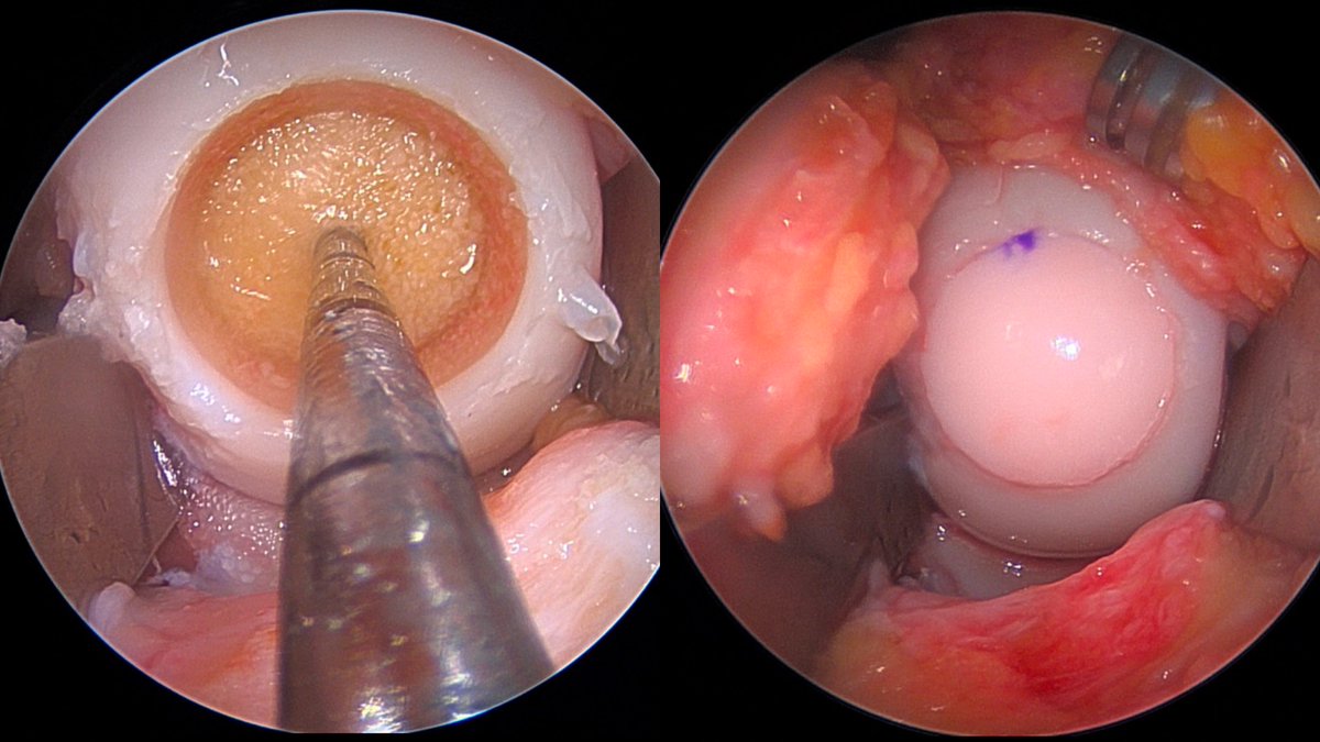 Rachel M. Frank, MD tweet media