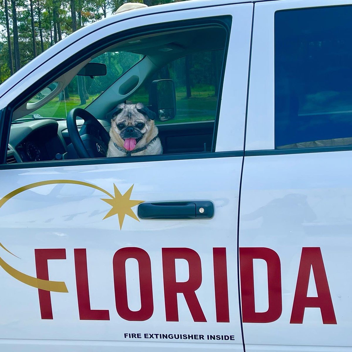 ElaineLarsen's tweet photo. Check out the adventures of Nitro the #jetdog #goingracing #dragracing #truckdriver #adventuresofnitro https://t.co/CAxTs2mK1i