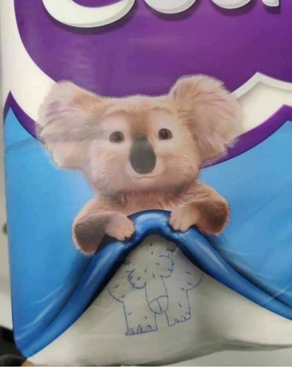 TPDoody's tweet image. #Cushelle