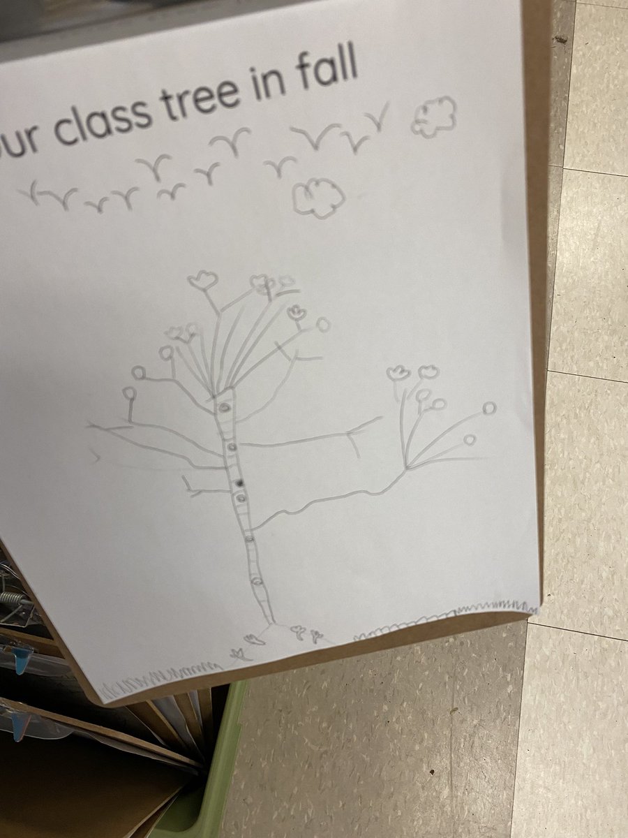 1BHTS's tweet photo. Spending time outdoors observing our 1B tree and noticing changes. Collecting leaves and experimenting with leaf rubbings. @HTSRichmondHill https://t.co/LnJPPujNVb