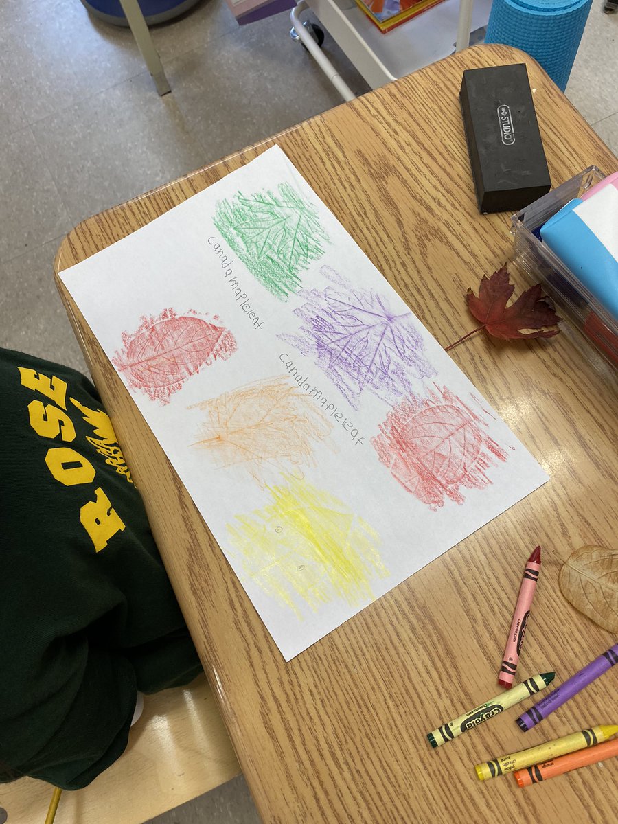 Spending time outdoors observing our 1B tree and noticing changes. Collecting leaves and experimenting with leaf rubbings. <a href="/HTSRichmondHill/">HTS Richmond Hill</a>