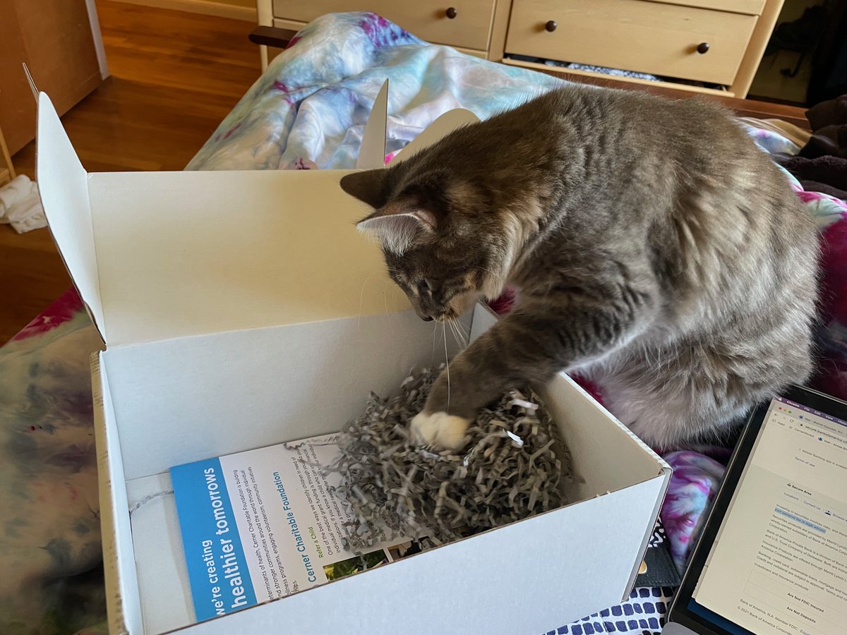 OracleHealth's tweet photo. Here's to the furry friends we've had by our sides the past two days – and the past 18 months – providing a small sliver of normalcy in abnormal times.

Here's to the #PetsofCHC!

[Pets of #CHC21 Part 1] https://t.co/Tk6ZURDRAt