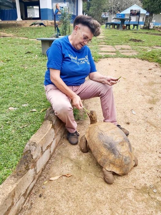 "Meet Kloof SPCA’s oldest resident – Benji the tortoise
Benji is estimated to be about 80 years old."

buff.ly/3uU4Gvg
