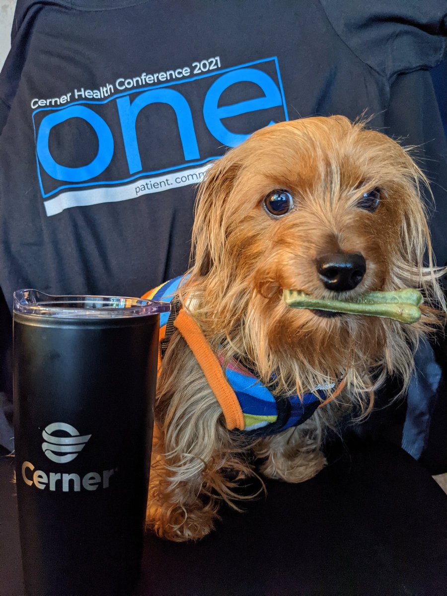OracleHealth's tweet photo. If you didn't get your photo in, it's not too late – share one now! #CHC21 

[#PetsofCHC Part 2] https://t.co/PkbCQViZQg