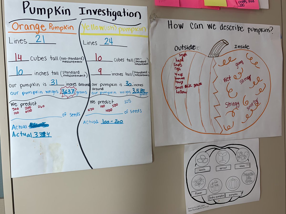#GardenGnomies @MortElementary participated in #TheGreatPumpkin investigation to learn about the life cycle of plants.  #SchoolGardens #outdoorlearning <a href="/psprincess18/">Jennifer Chamoun</a> <a href="/MrMaestroMoreno/">Armando Moreno</a> <a href="/ProfeLlerena/">Ms.Llerena</a> <a href="/HCPSElemScience/">HCPSElemScience</a> <a href="/HCPSElemMath1/">HCPS Elementary Math</a>