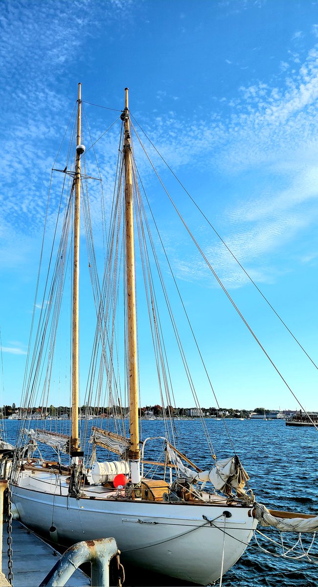 ErmRyan's tweet photo. Che bellezza. #sailing #boating https://t.co/nycZYmACCI