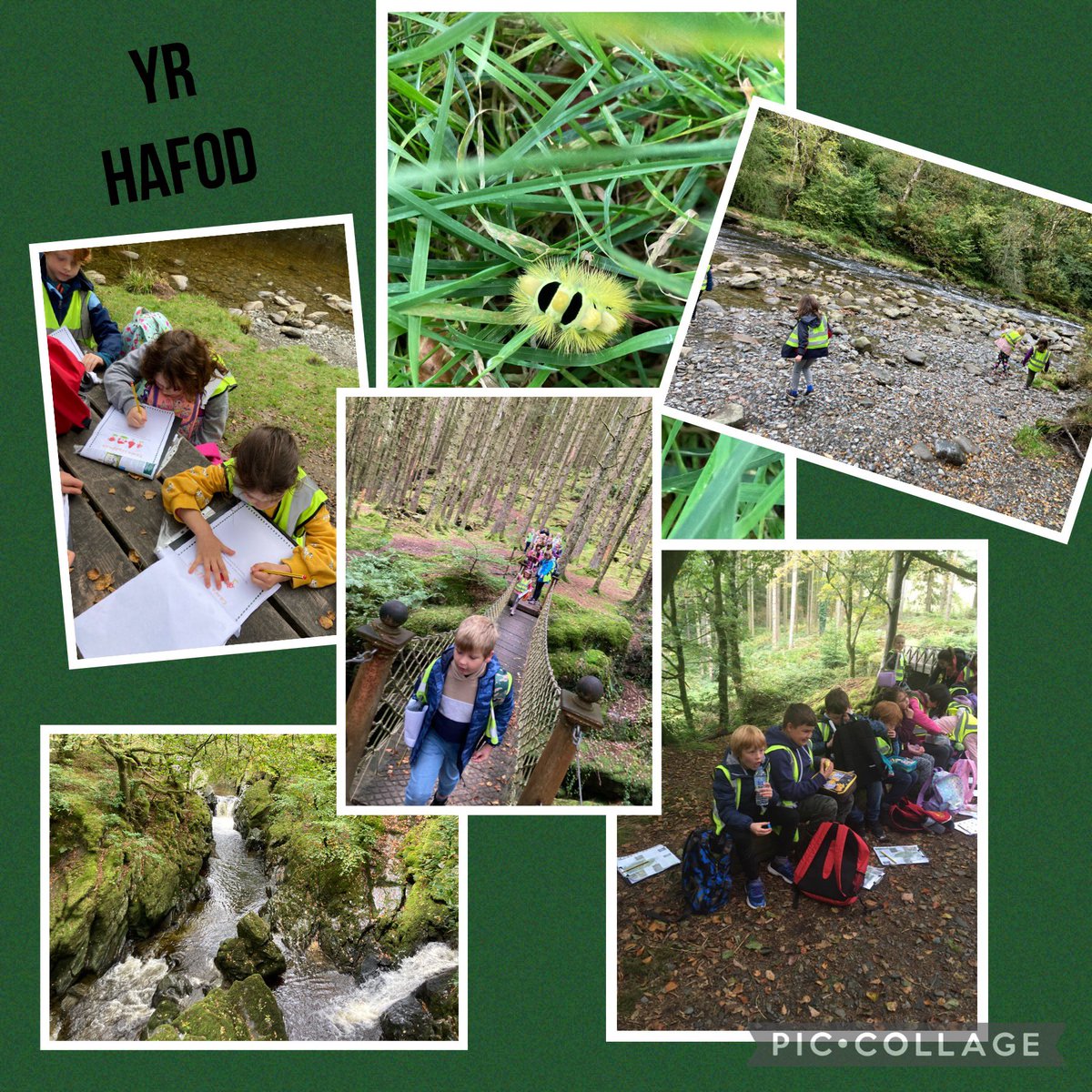 YsgolLlanilar's tweet photo. Harddwch ein hardal leol. Our local area’s beauty. Dysgu am Afon Ystwyth. #sbardun #unigolioniachhyderus #dinasyddionegwyddorolgwybodus https://t.co/G2GSU78JeW