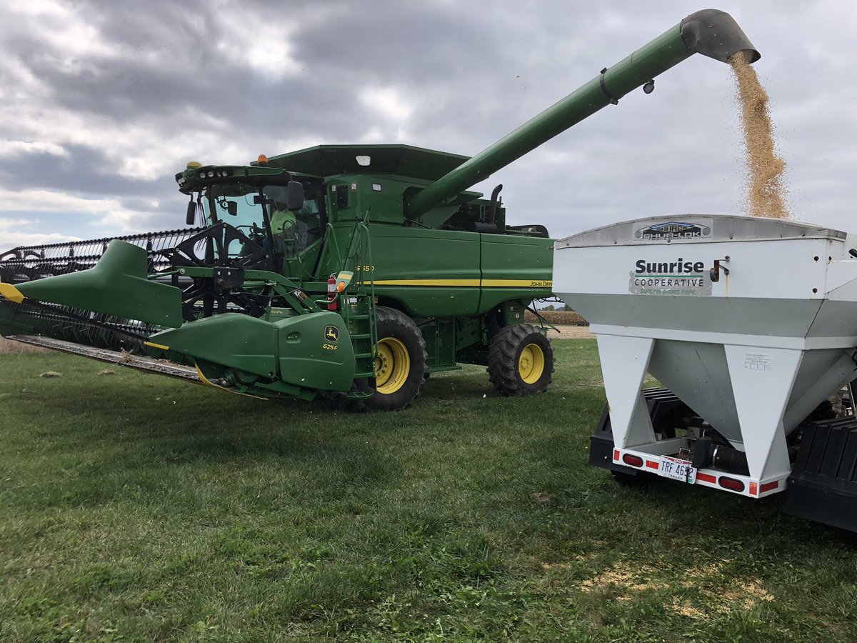 SunriseCoopOH's tweet photo. Gaining #knowledge for you as we #harvest our #PCTSunrise plot in Auglaize County. #LocalGrowHow From Planting to Harvest &amp; Beyond. 

#WhySunrise #SunriseCooperative #SuccessGrowsHere #Harvest21 #soybeans https://t.co/TJTIBMszmQ