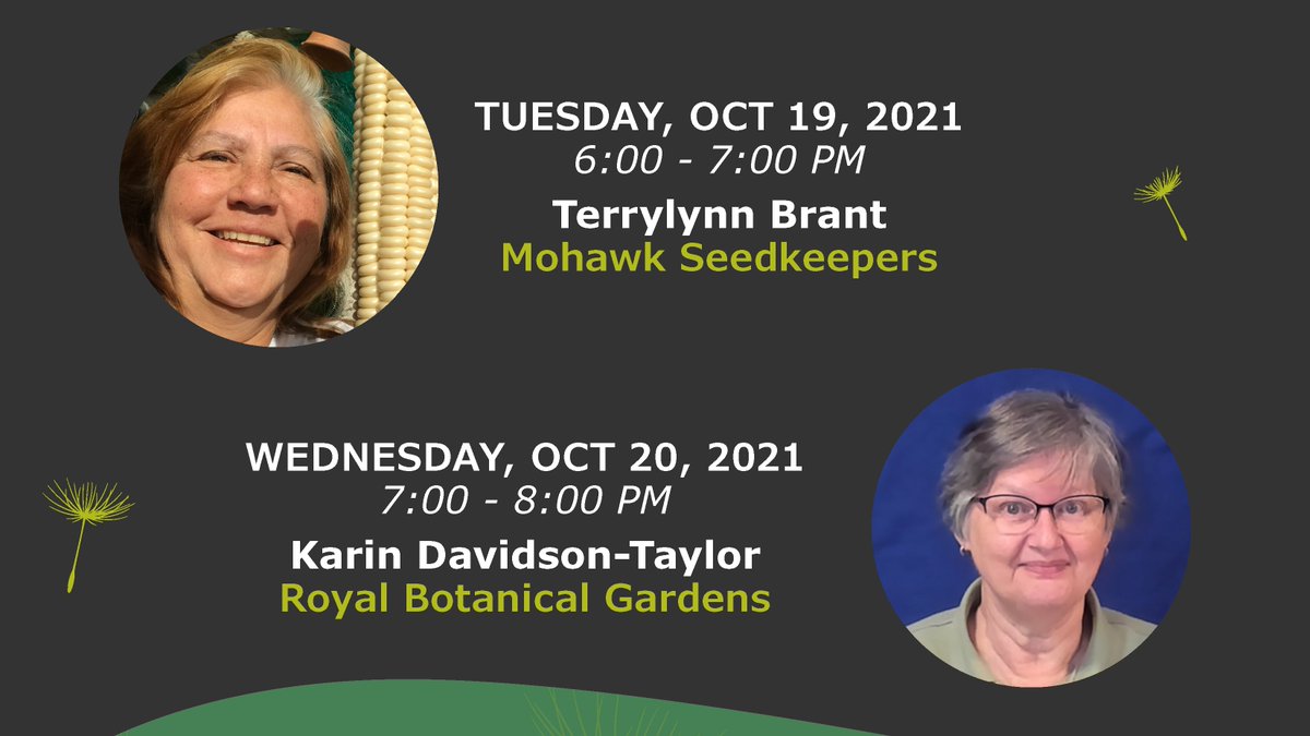 CCCMatMohawk's tweet image. Join @sustainablemoco on October 19th and 20th in celebrating the harvest season by learning about traditional Indigenous seed saving techniques, native plants and the importance of pollinators at two free virtual workshops! Sign up here: mohawkcollege.ca/seedfestival