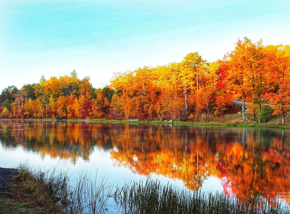 Visit_NJ's tweet photo. When the fall foliage looks like a painting 😍
📍 High Point State Park, Wantage, New Jersey
.
.
.
📷: @standing.pine.acres (via Instagram)
#VisitNJ #NewJersey #FallFoliage #NJFallFoliage #ThisIsNJ #HighPoint #HighPointStatePark https://t.co/tv4ud60NFQ