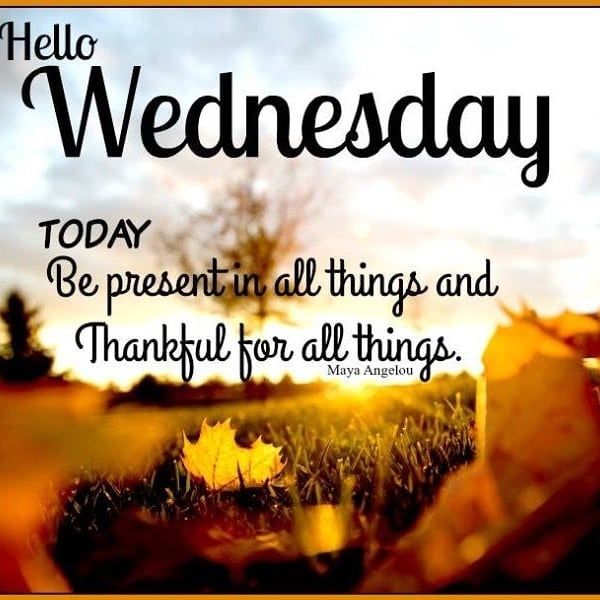 drive4sbi's tweet photo. #wellnesswednesday https://t.co/MVjpAqhBa7
