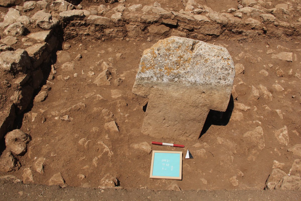 sefertepeproje's tweet photo. #sefertepe #Viranşehir #neolithic #PrePotteryNeolithic #Archaeology #TaşTepeler #Neolitik https://t.co/taf5EqIkzL