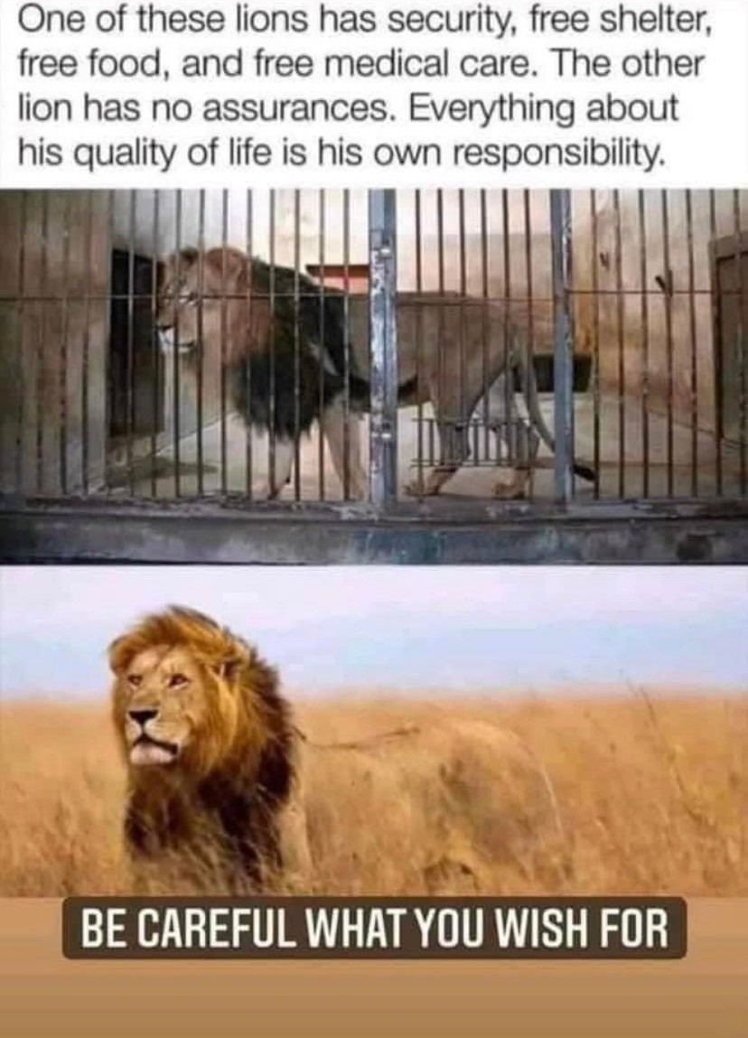 tylorstandley's tweet photo. get rekt commies https://t.co/NJ1SuQWwzM