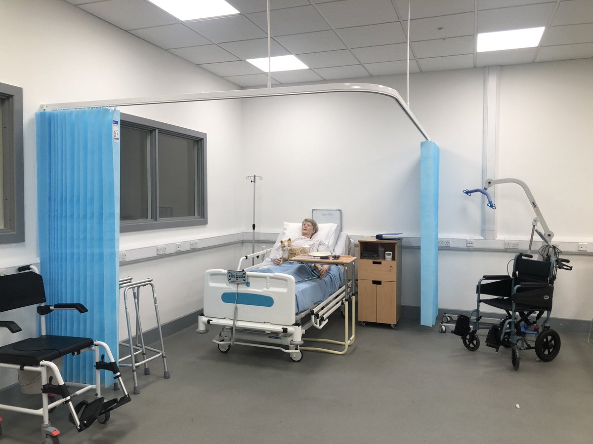 Jeoffery and Tommy waiting patiently for visitors for open evening tomorrow at Crawley! @CrawleyCollege <a href="/mrsmad40/">Clare Steere</a> <a href="/JamesWattersUK/">James Watters</a> <a href="/Chapman_Mikrut/">Lauren Chapman</a> #crawleycollege #health #TLevels