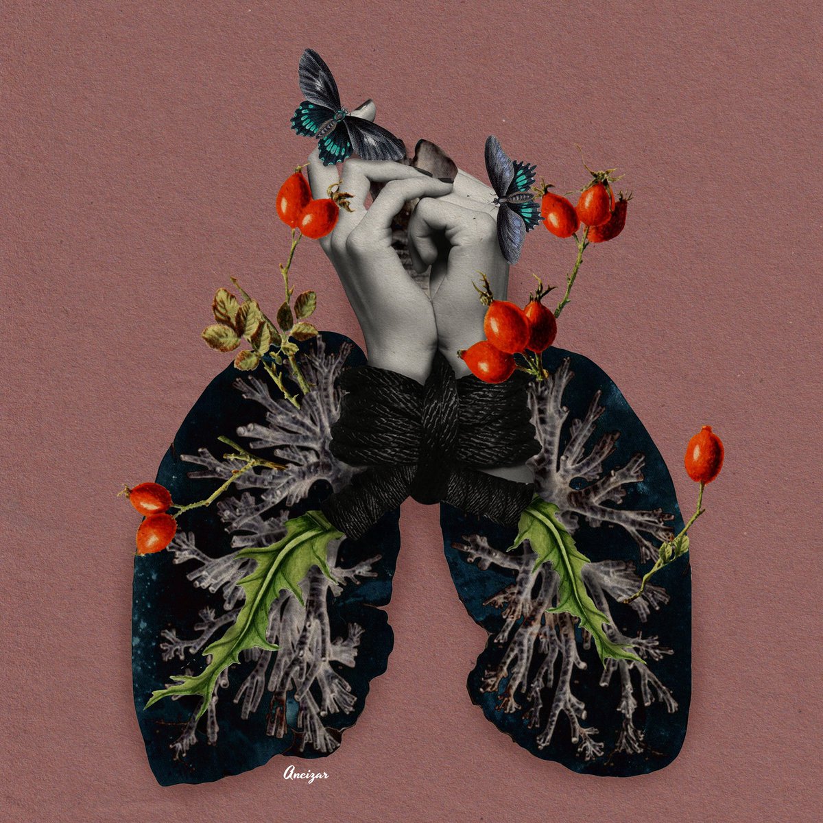 FICZ_undercover (@FICZ_undercover) | Twitter