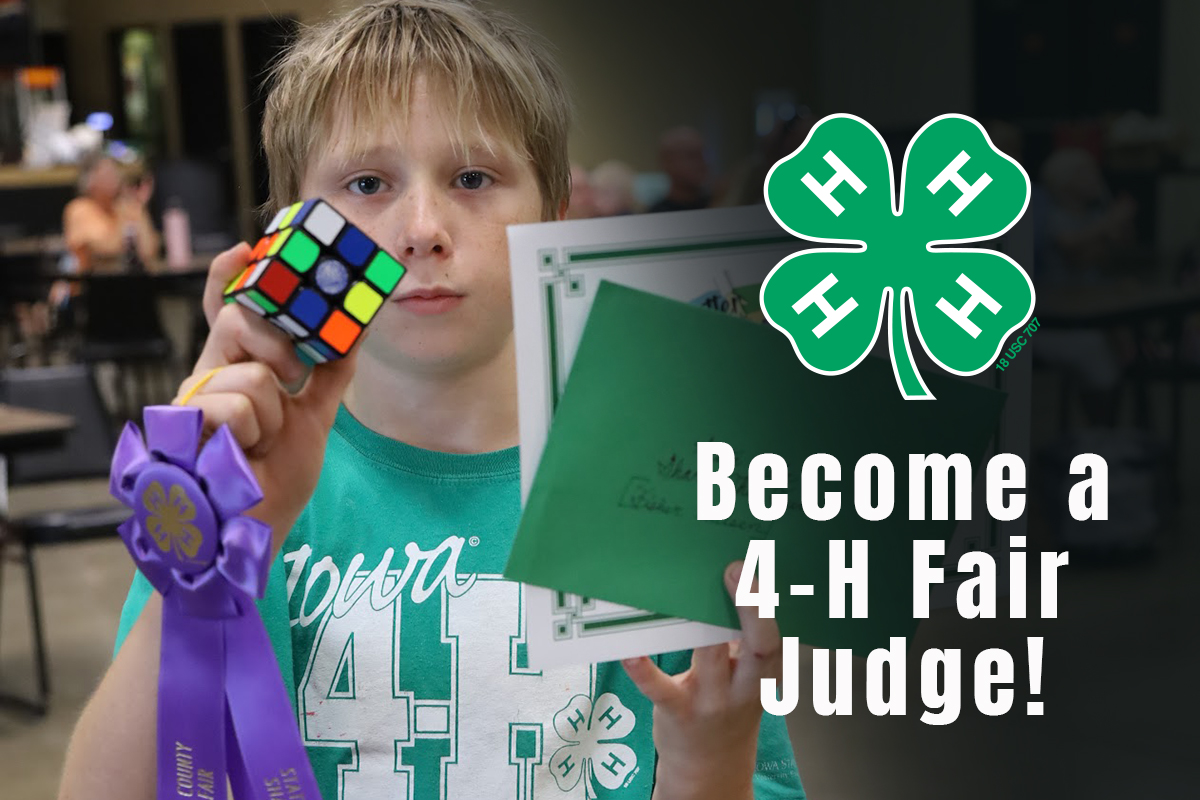 Black Hawk Extension tweet media