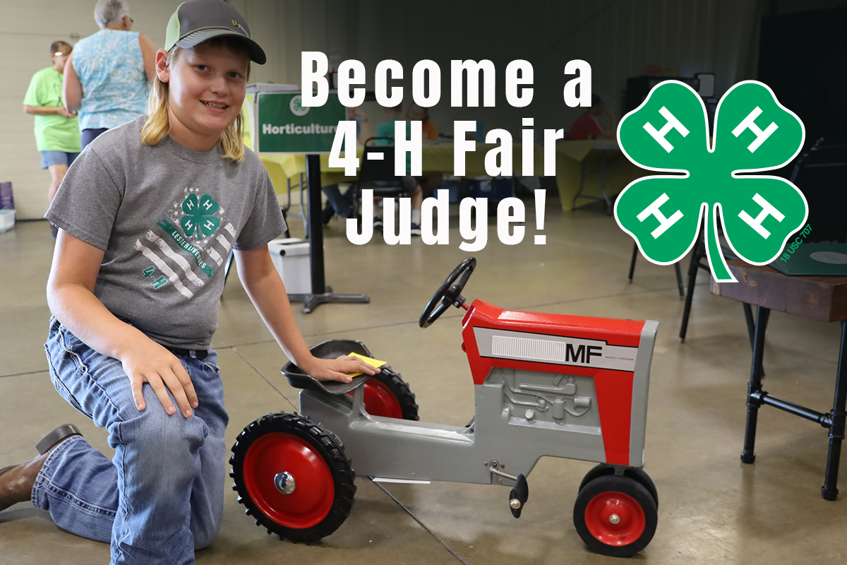 Black Hawk Extension tweet media