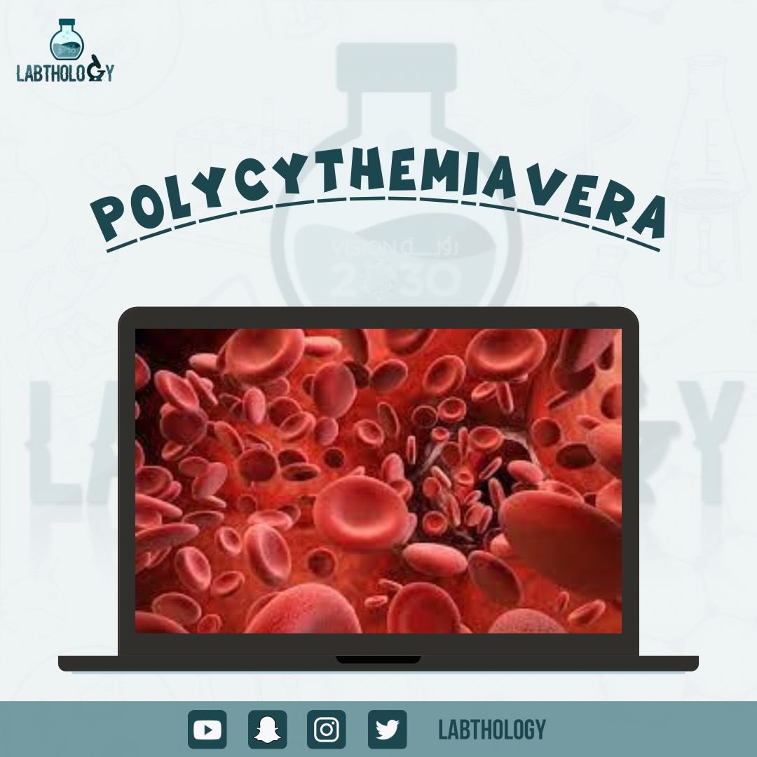 Labtholog y 🔬 tweet media