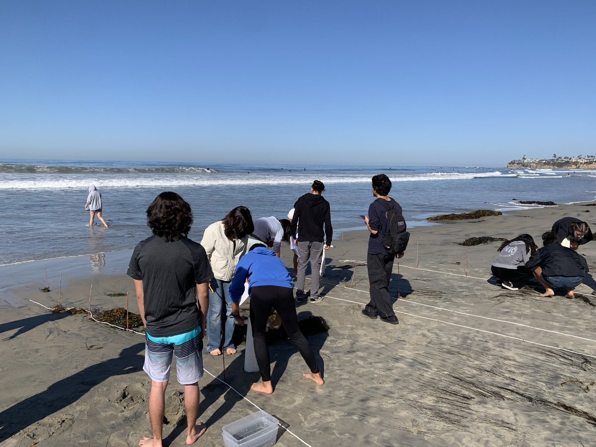 WillJacoway's tweet photo. Sand crab monitoring at law street with students. @helixcharter https://t.co/Dym2we3zsW