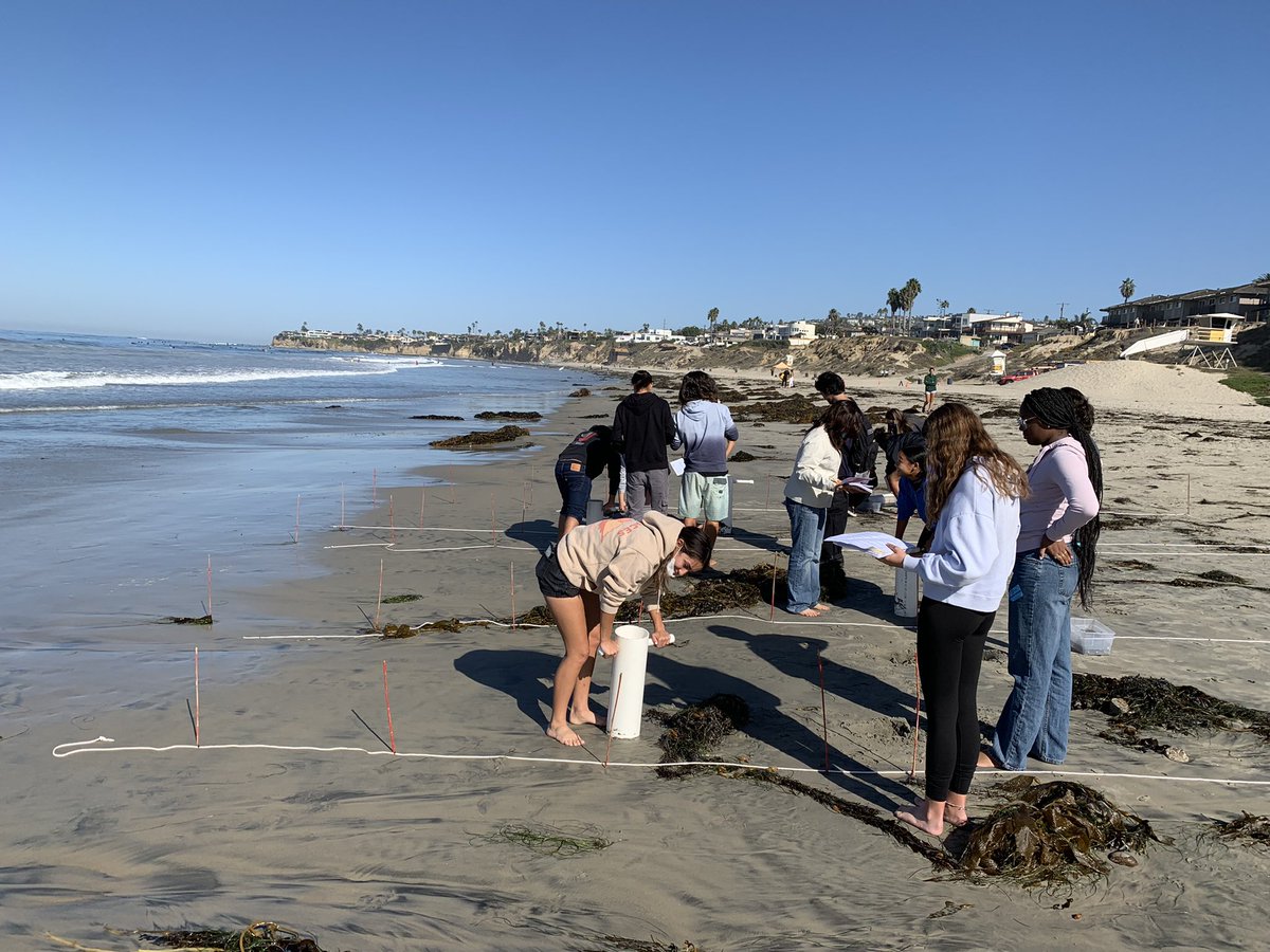 WillJacoway's tweet photo. Sand crab monitoring at law street with students. @helixcharter https://t.co/Dym2we3zsW