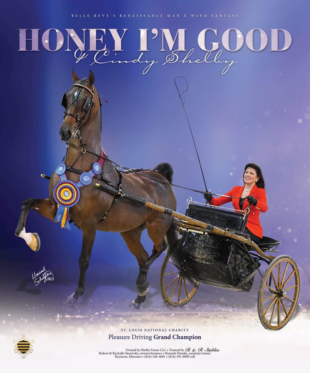 TNH1865's tweet photo. Honey I’m Good &amp; Cindy Shelby: St. Louis National Charity Pleasure Driving Grand Champion
#nationalhorseman @stlcharityhorseshow @cindyjshelby #shelbyfarmsllc @randrstables #pleasuredriving #saddlebred https://t.co/Ppb2BZNovq