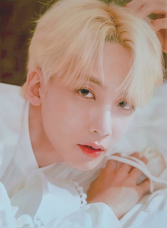 cheonsa_carat's tweet photo. 🤎🤎

@pledis_17 #JEONGHAN https://t.co/NWVA4QQLD4