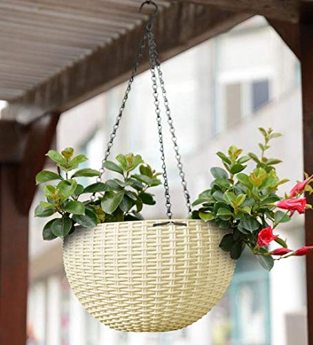 Gjat_Bazaar's tweet photo. Plastic Hanging Planter Basket Pots with Chain

Buy Now:👉 https://t.co/D1VHoM3LRp

They have holes below, so that you can directly put soil and plants. Best For Garden Gift,Perfect For Small Plants.

#flowerpot #hangingpot #chainhanger #balconypot #garden #homedecore #home https://t.co/HhGGNJiJ2c