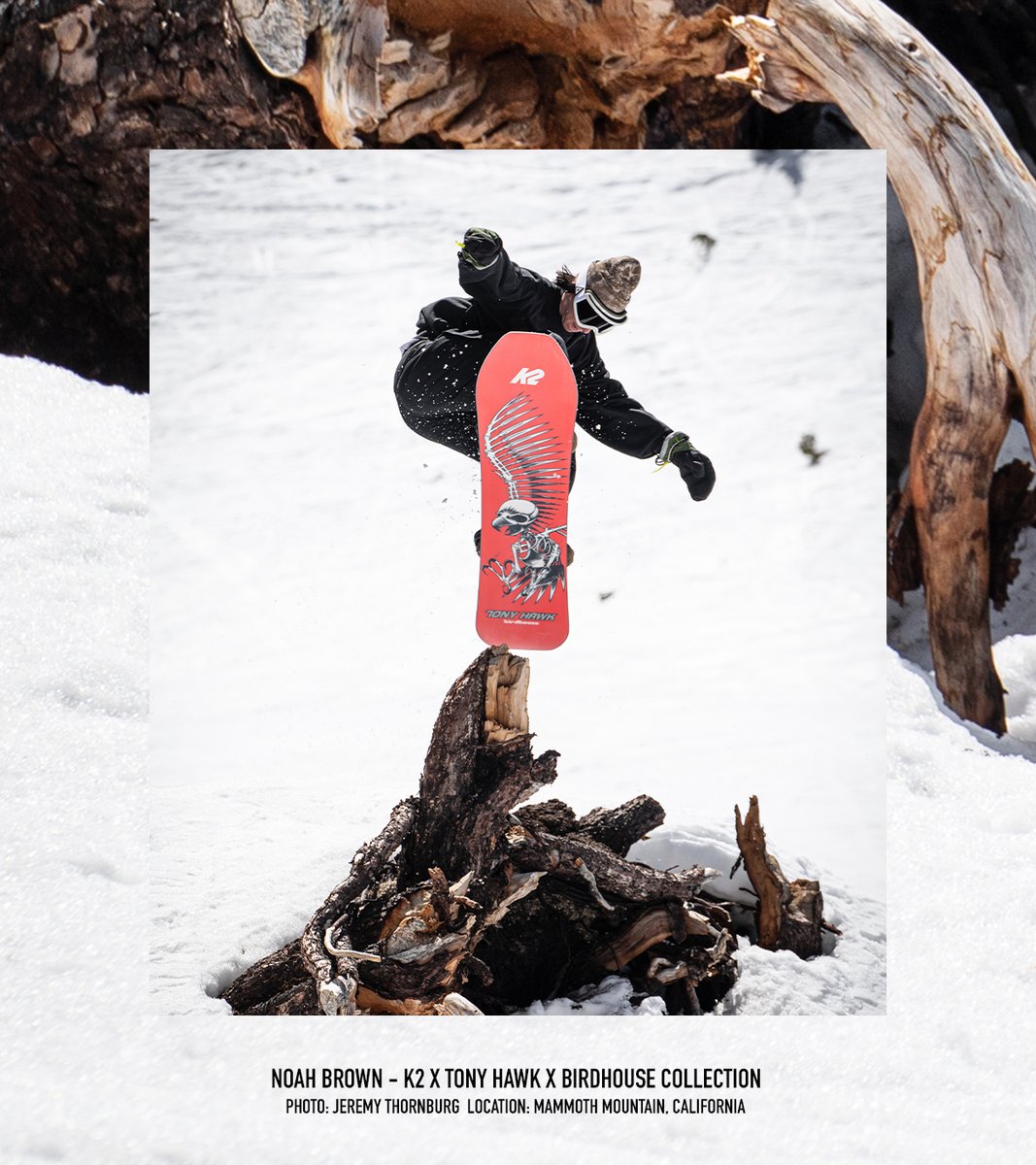 Riley Batt Design tweet media