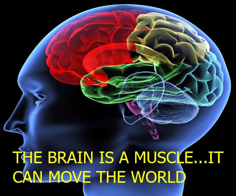 CProofreader's tweet image. Happy #TrainYourBrainDay everyone!