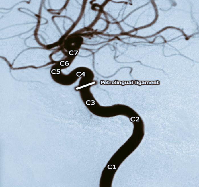 Peter Fiester, MD tweet media