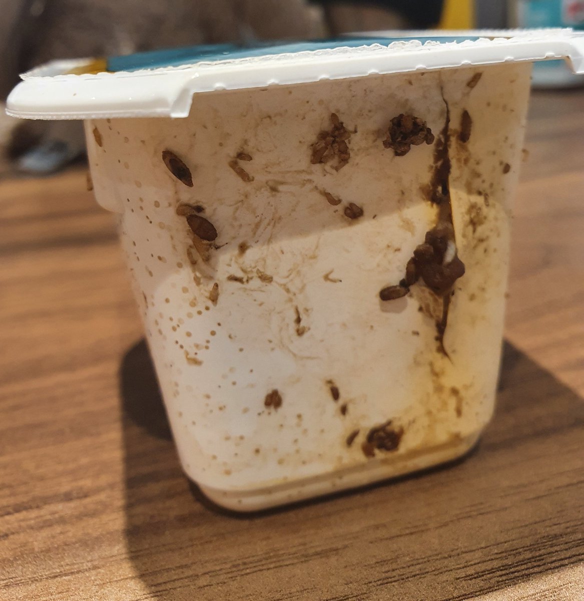HadleyNikki's tweet photo. Absolutely disgusting pot of #heinz beanz snack pot! https://t.co/mUvbxi6Dza
