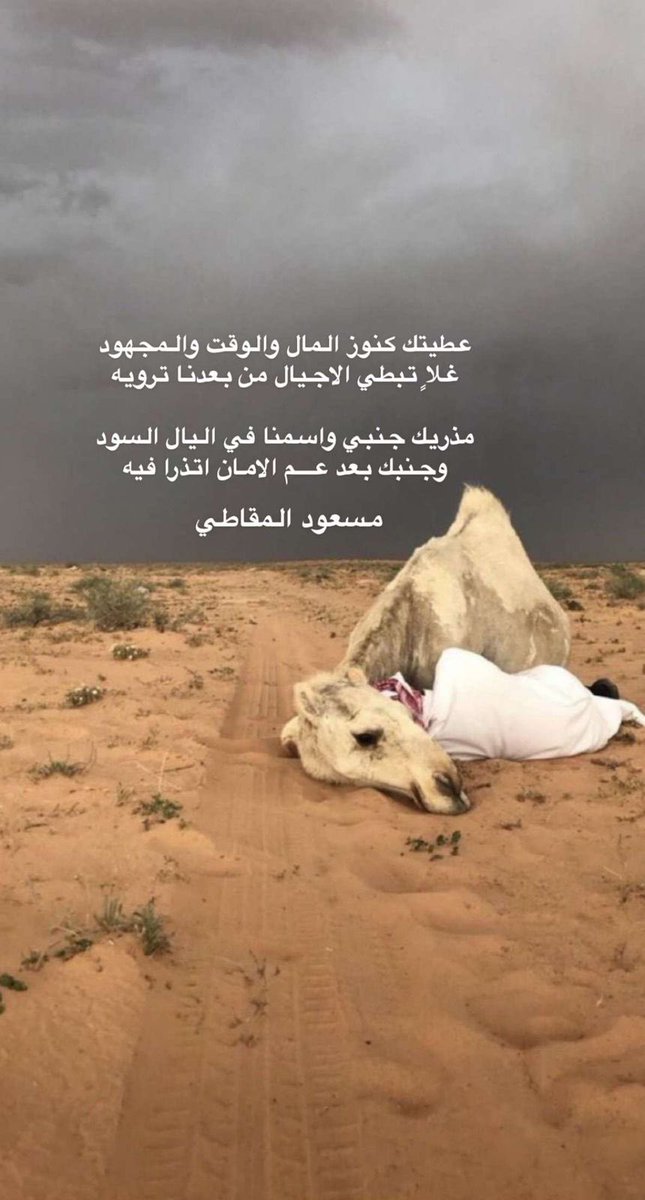green_royal's tweet photo. @Massood2020m https://t.co/Gxq08ZbuCV