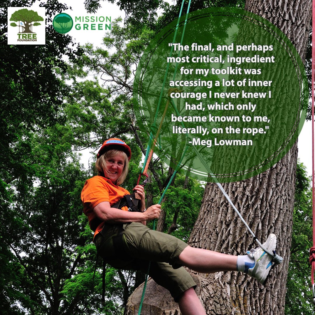 TreeFoundation's tweet photo. Finding inner courage amongst the trees.
#MISSIONGREEN #Treefoundation #canopymeg #innercourage #arbornaut #stem #savethetrees #conservation #rainforest #forests https://t.co/JK02GQ9h4R
