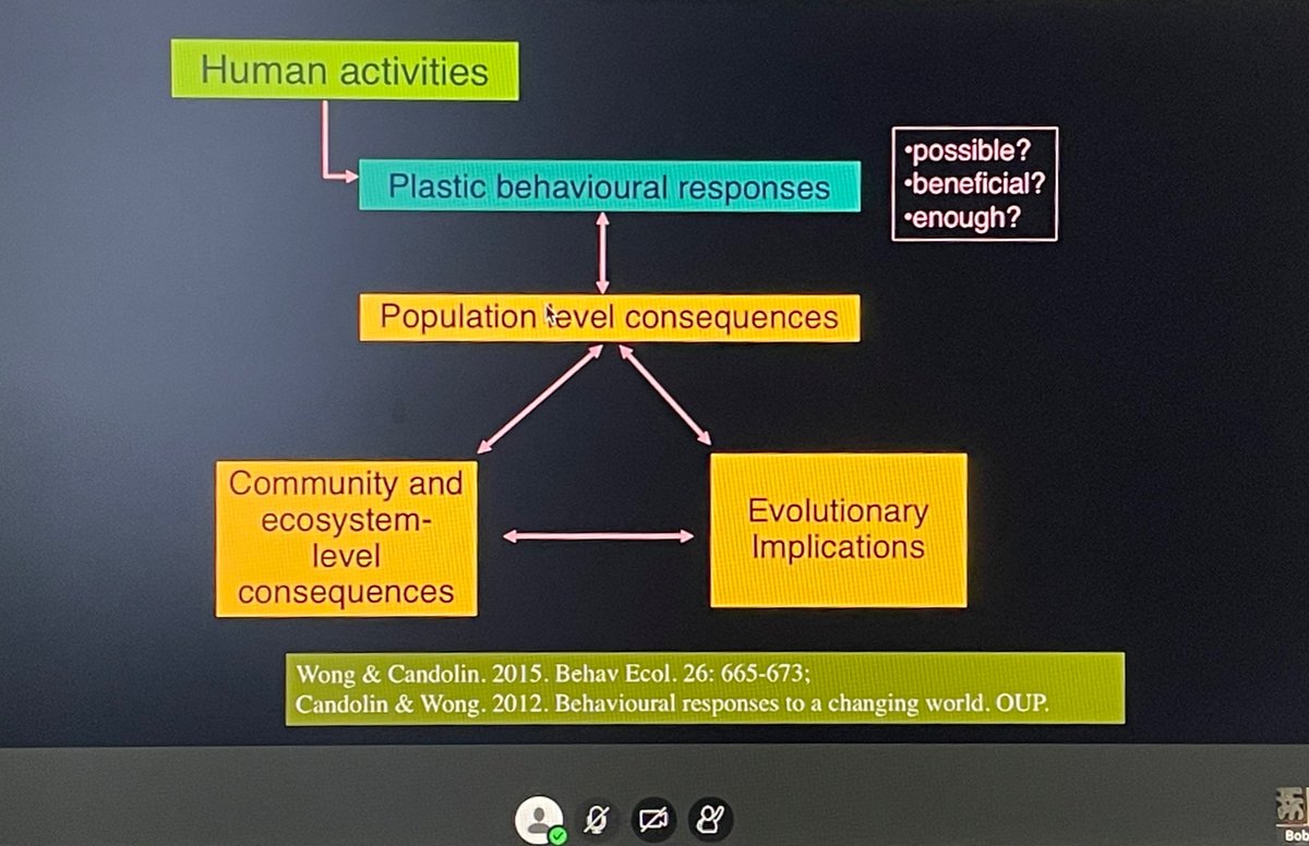 biobiiana's tweet photo. Thrilled to have had the one and only @BBM_Wong as a speaker in our @KLIVVWien -#FIWI seminar series today! Great talk about the ecological and evolutionary consequences of behavioural responses to global change (1/n) https://t.co/iPSj5iWfLT