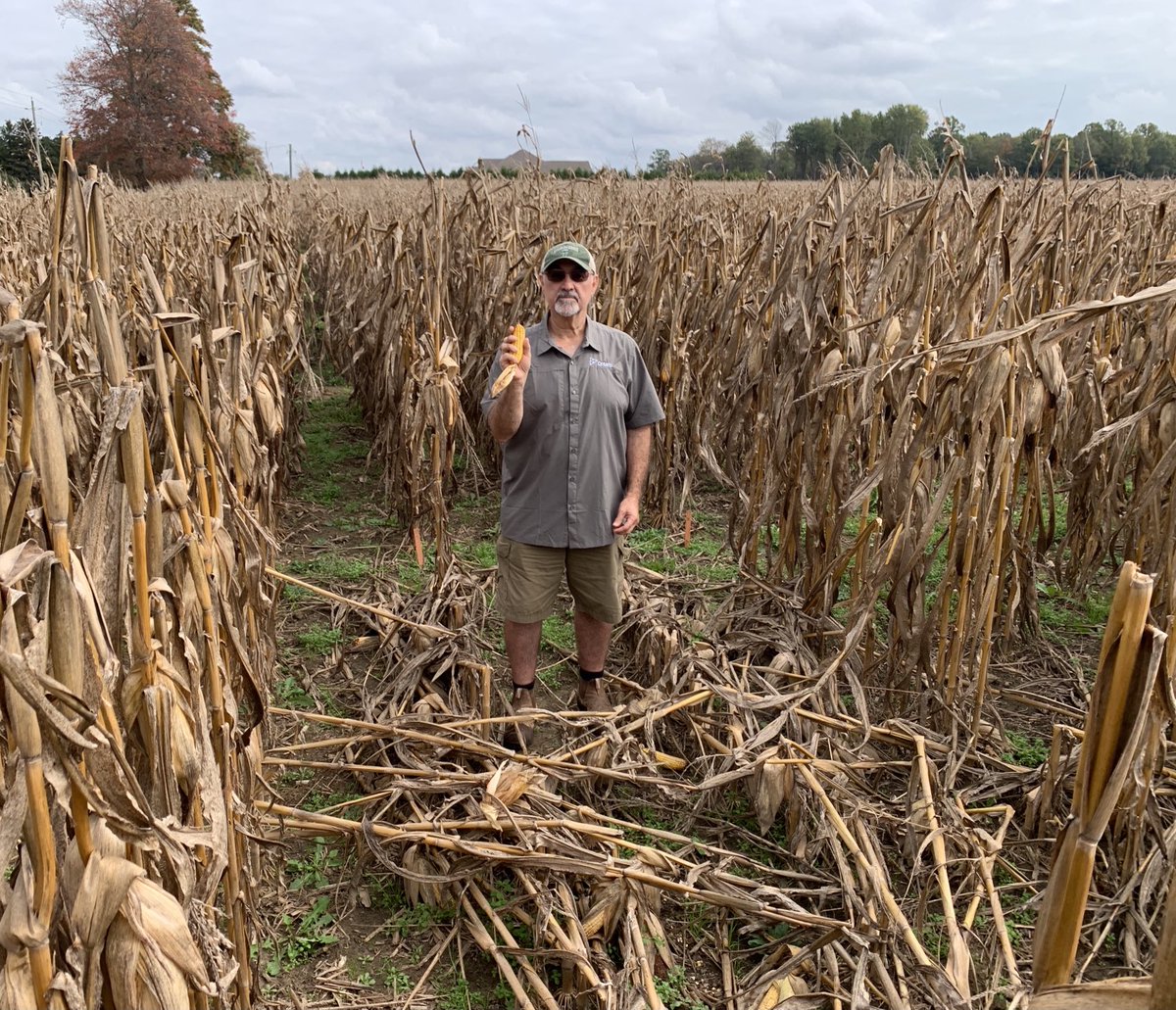Bernard Tobin (@agbern) on Twitter photo Troublesome tar spot. <a href="/AlbertTenuta/">Albert Tenuta</a> is seeing 40 bu/ac loss in some fields. I’ll have a full report on #Corn School <a href="/realagriculture/">RealAgriculture</a> Troublesome tar spot. <a href="/AlbertTenuta/">Albert Tenuta</a> is seeing 40 bu/ac loss in some fields. I’ll have a full report on #Corn School <a href="/realagriculture/">RealAgriculture</a>