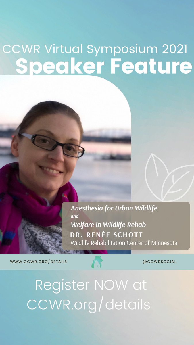 California Council for Wildlife Rehabilitators (@ccwrsocial) on Twitter photo 