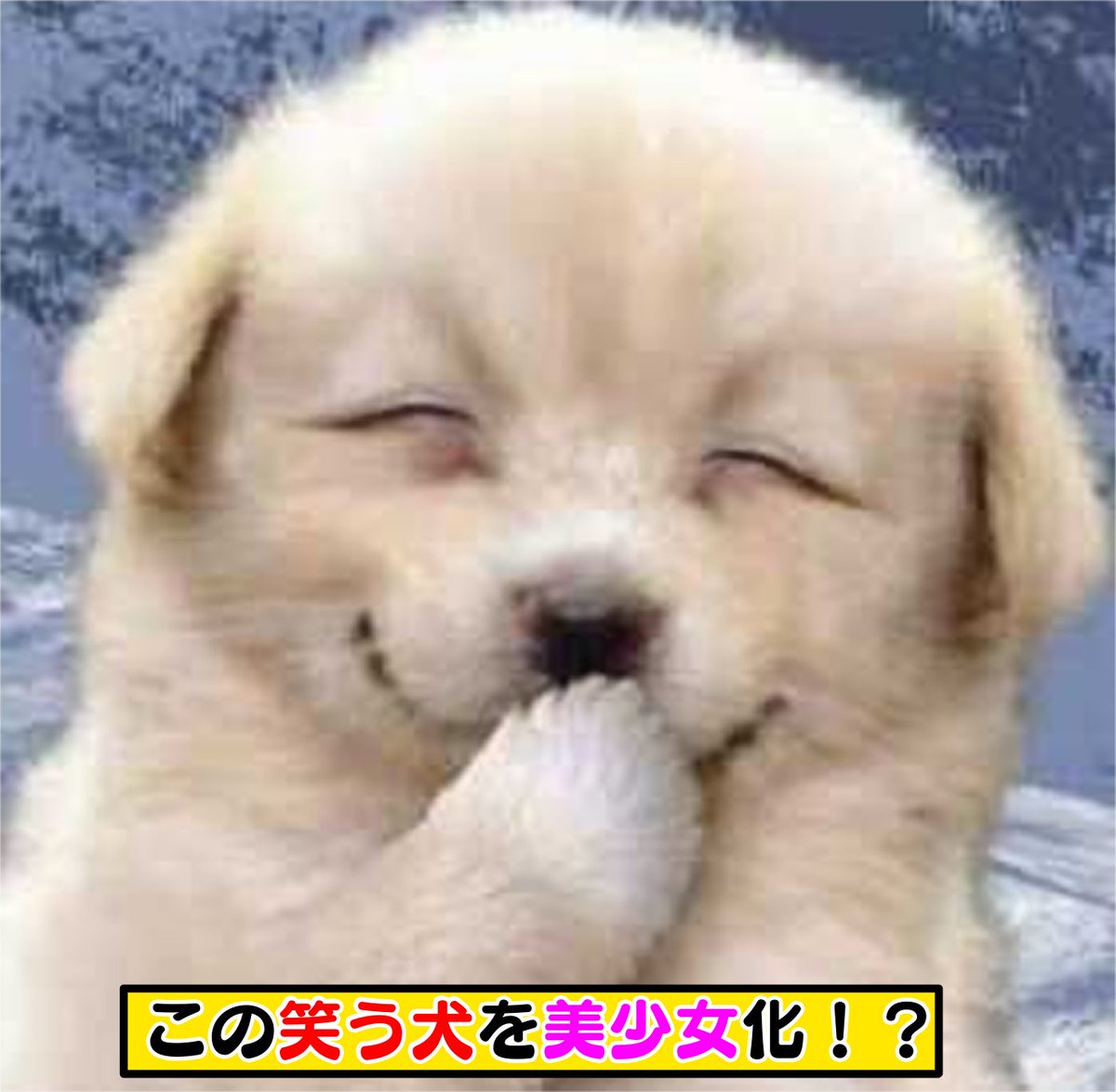 Twoucan 笑う犬 の注目ツイート イラスト マンガ