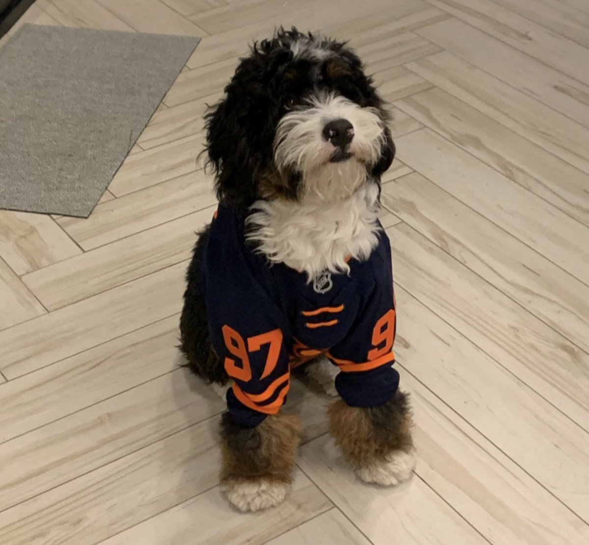 EdmontonOilers's tweet photo. Lenny confirmed available for tonight’s season opener. #LetsGoOilers https://t.co/t2G7PU6ynj